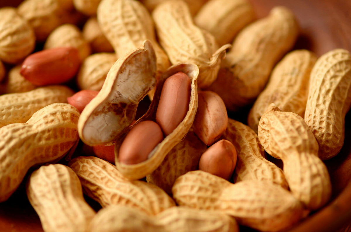 Delicious Homemade Peanut Butter with Real Peanuts (Manba Lakay)